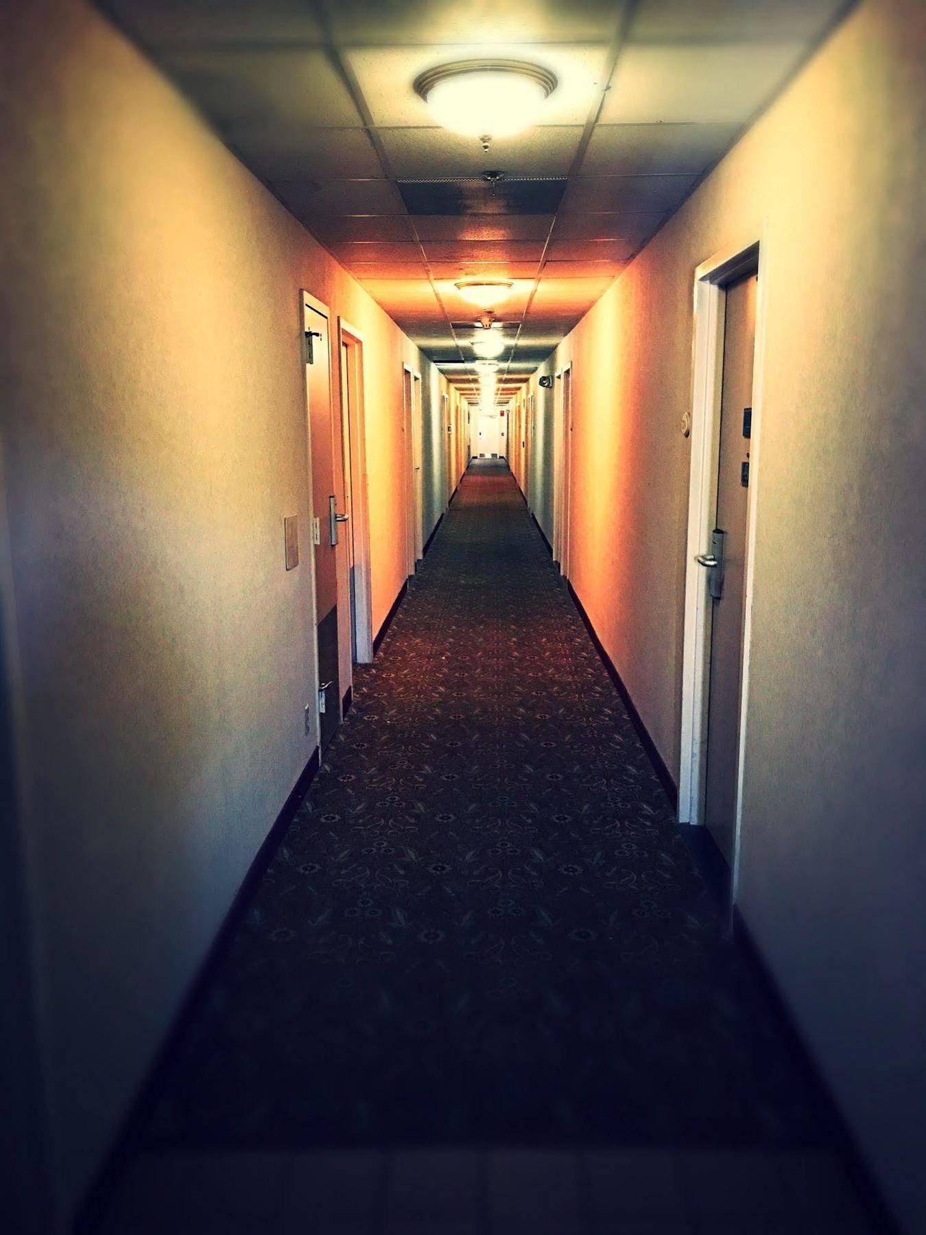 Hotel Super 8 By Wyndham Madison East Zewnętrze zdjęcie